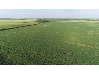 Union County, Indiana Farmland - REAL ESTATE AUCTION - 805+/- ACRES IN 11 TRACTS IN UNION COUNTY, INDIANA